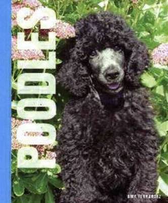 Amy Fernandez: Poodles [2010] hardback