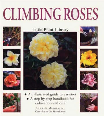 Andrew Mikolajski: Climbing Roses [2002] hardback