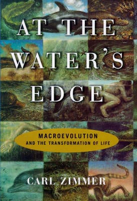 At the Water's Edge: Macroevolution and the Transformation of Life