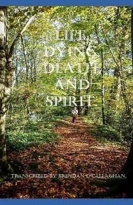 Brendan O'Callaghan: Life, Dying, Death, and Spirit [2021] paperback