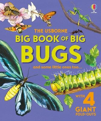 Emily Bone: Big Book Of Big Bugs [2025]