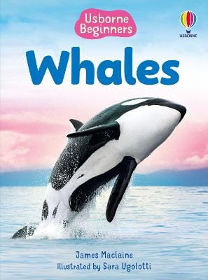 James Maclaine: Beginners Whales [2025]