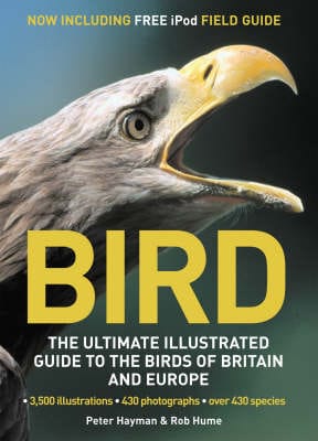 Octopus Books: BIRD [2007]