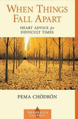 Pema Chodron: When Things Fall Apart [2000] paperback