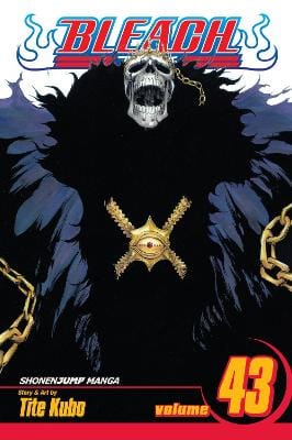 Tite Kubo: Bleach, Vol. 43 [2012] paperback