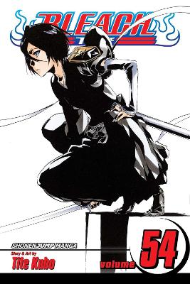 Tite Kubo: Bleach, Vol. 54 [2013] paperback